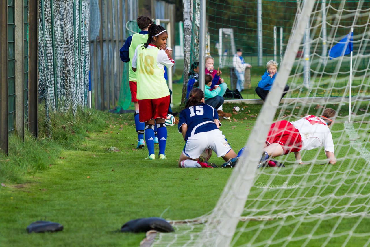 Bild 398 - Frauen Hamburger SV - SV Henstedt Ulzburg : Ergebnis: 0:2